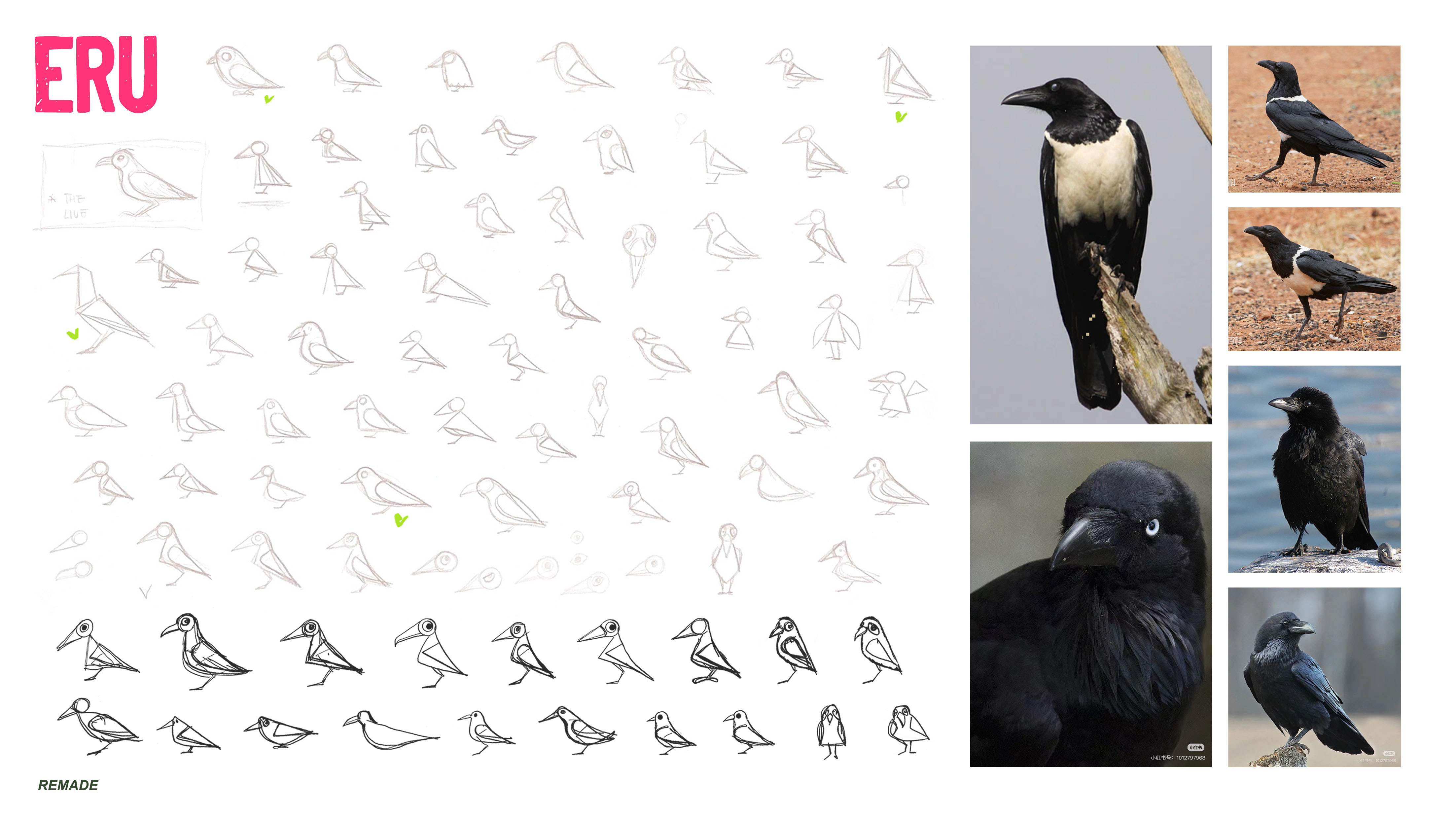 Project 01 image 2
